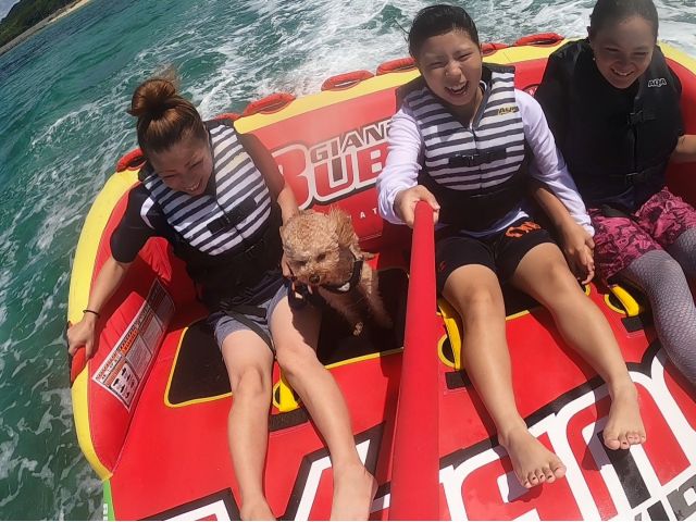 マーブル 背もたれついてるのでワンちゃんもご一緒♪