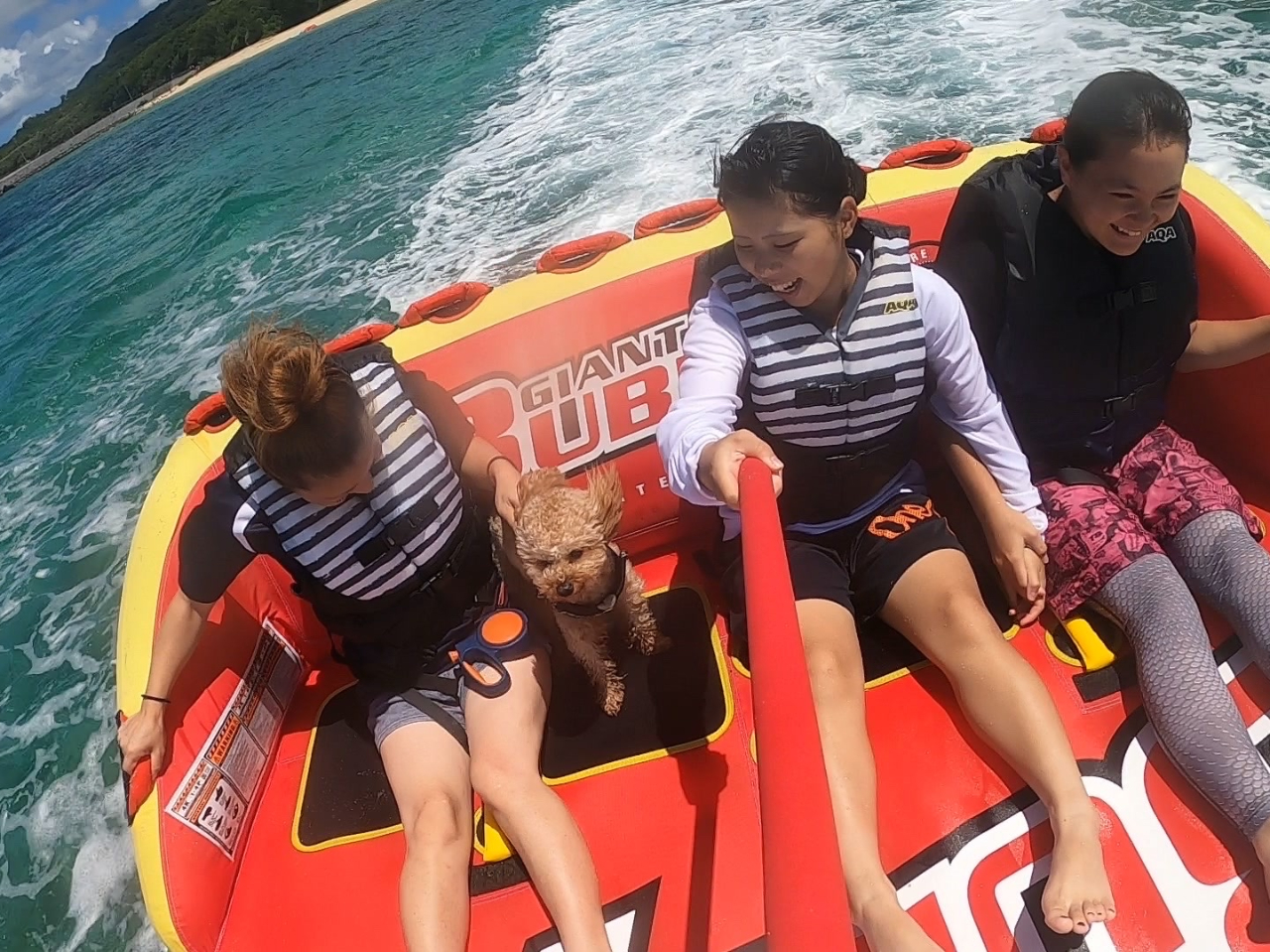 �}�[�u���@��񂿂������Ƒ��􂲈ꏏ�Ɋy���݂܂��傤