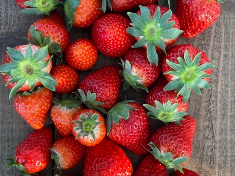 ꗱꗱՂ舤߂ Ă\BɁu܂Ƃ߁vuׂɂق؁v͔|Ă܂Bc̍艖ɂA؂ɈĂ̂ł