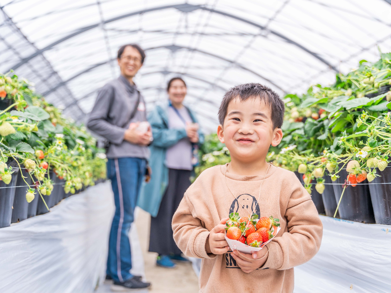 ݂͂Ȃ̏Ίňō̃ANeBreBł