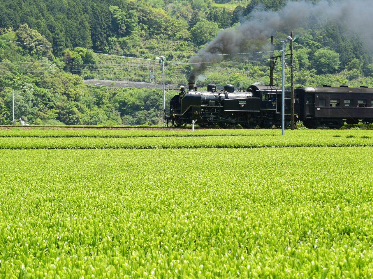 �^���ǂ��Ɓu��o�w�v��SL�₫���񂵂�g�[�}�X�����ʉ߂���p�������邩���I�H