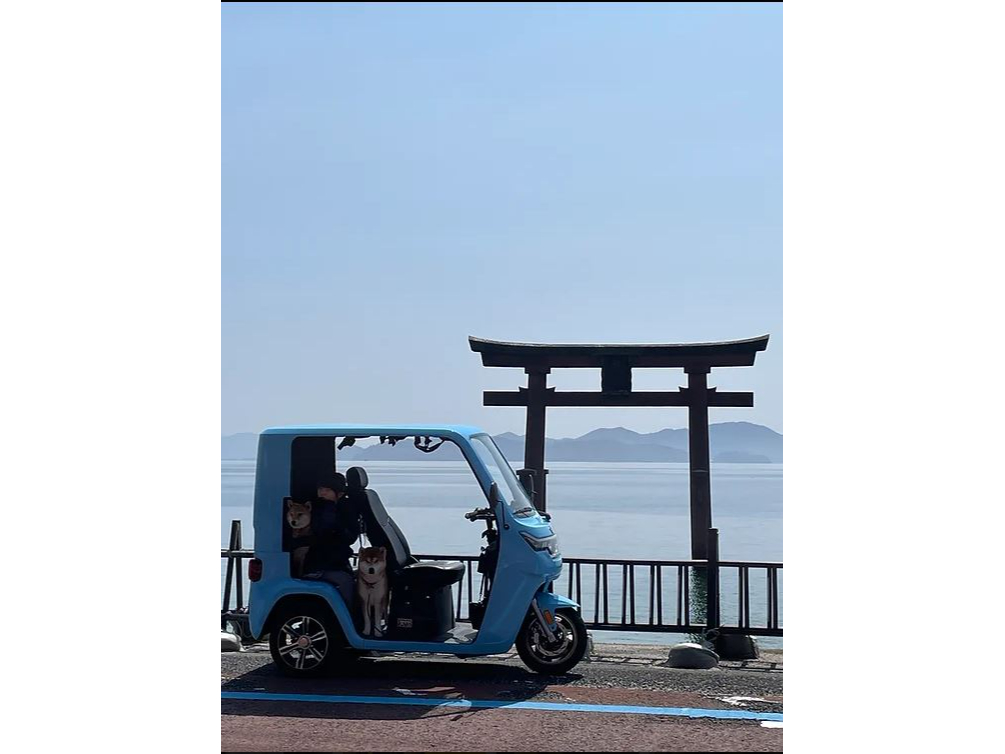 白髭神社を間近で!