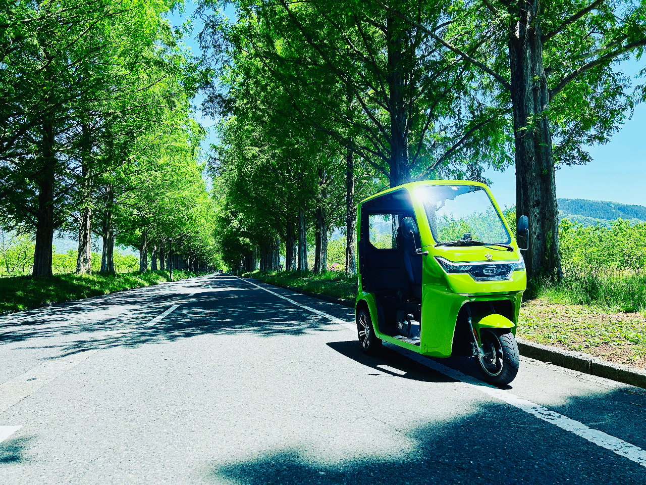 マキノ メタセコイア並木をトゥクトゥクドライブ♪