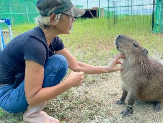 人懐こいカピバラのトッポ君。お手の練習も一緒にできます。