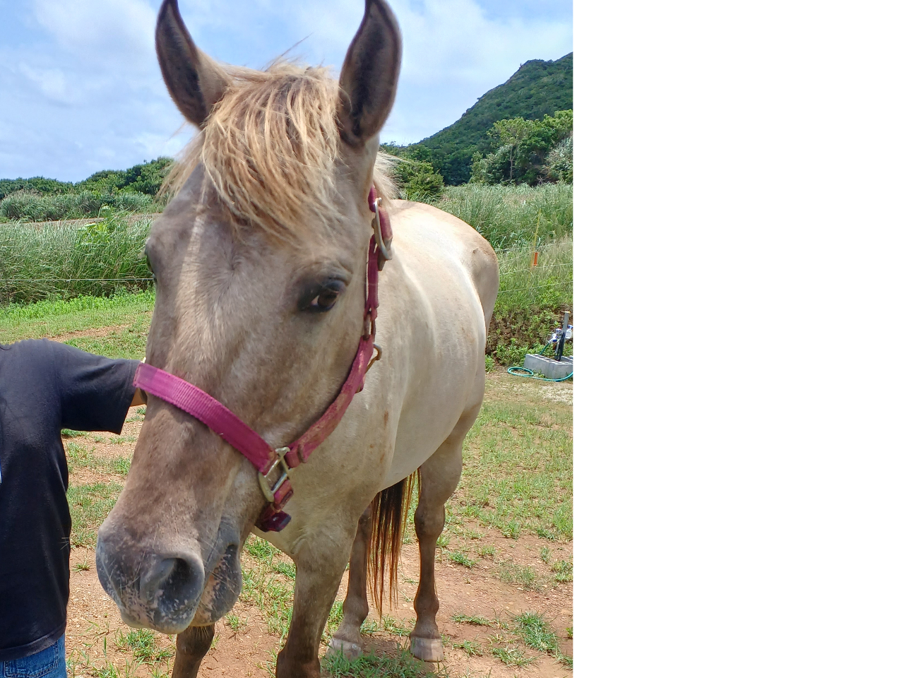 ₩ȐĩNEU[BsNjbNeXł͊FɐG܂łB