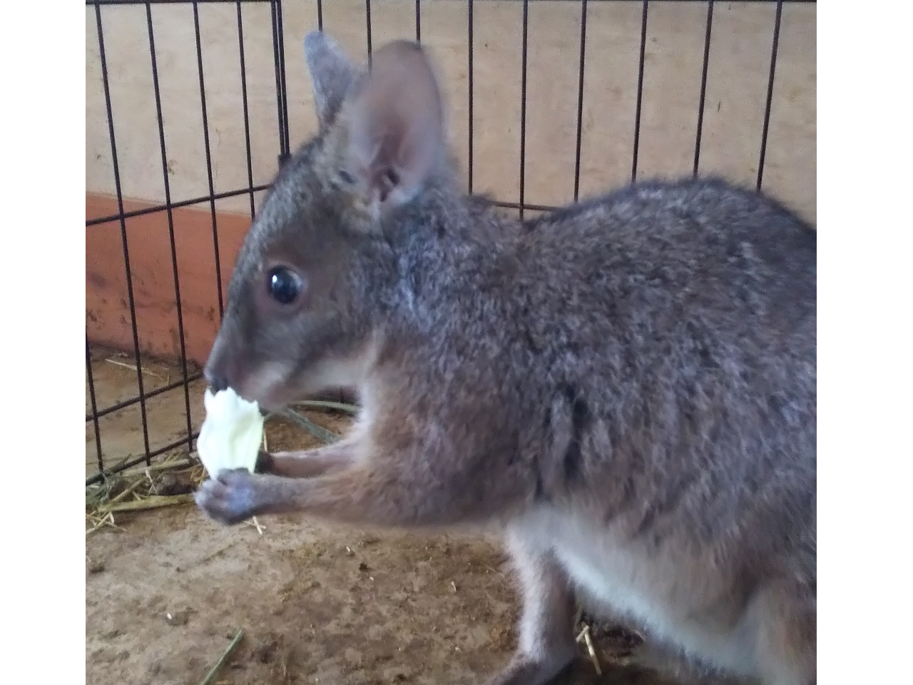 r[͉ałAƂĂƋ߂ÂĂ܂BłĐHׂp炵B