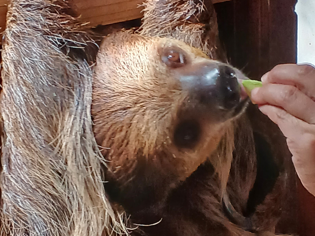 i}Pm̃_NB{łi}PmƂ̂ӂꂠB