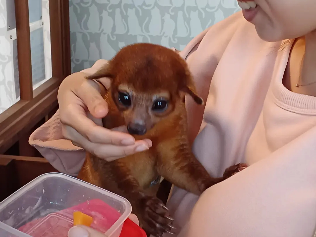 bALJW[̂炿BlĐlCҁB