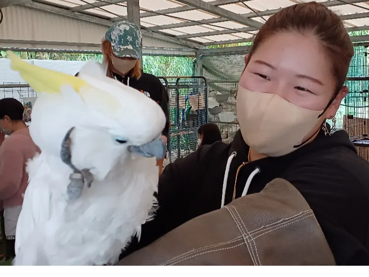 IẼWX~͋CBvȎ܂Ęrɏ悹邱Ƃł܂B