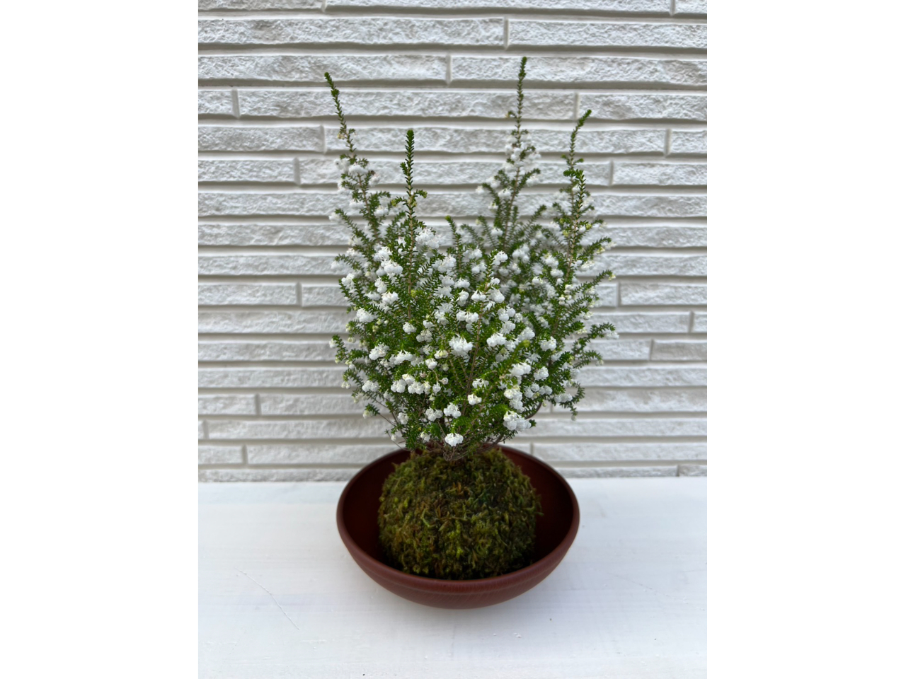 X^_[hv3,900~{IvV1,000~`