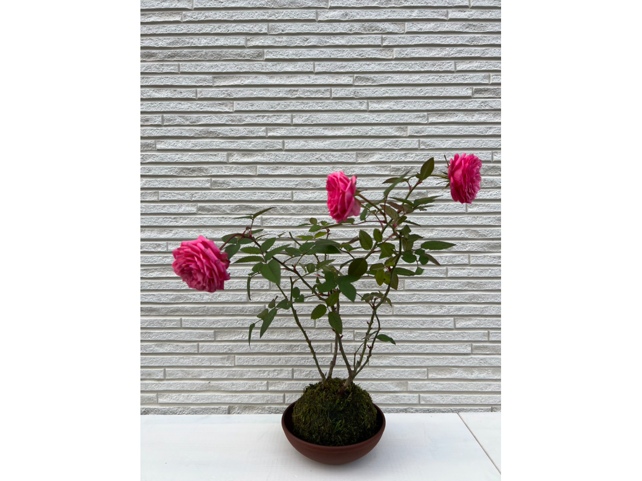 X^_[hv3,900~{IvV1,000~`