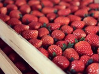 当園では一番おいしい状態でお召し上がりいただくため、完熟状態のいちご をご提供しています。