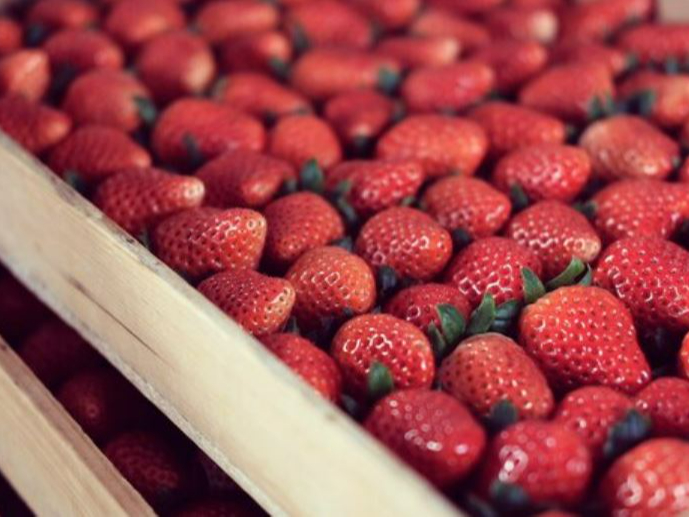 �����ł͈�Ԃ���������Ԃł������オ�肢���������߁A���n��Ԃ̂����� �����񋟂��Ă��܂��B