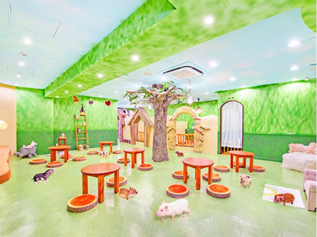 mipig cafe 原宿店