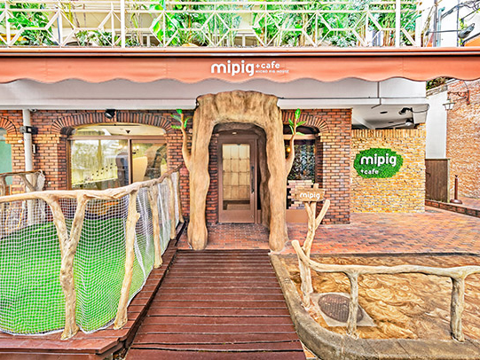 mipig cafe ���h�X�̎ʐ^3