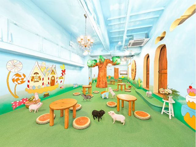 mipig cafe 大阪店