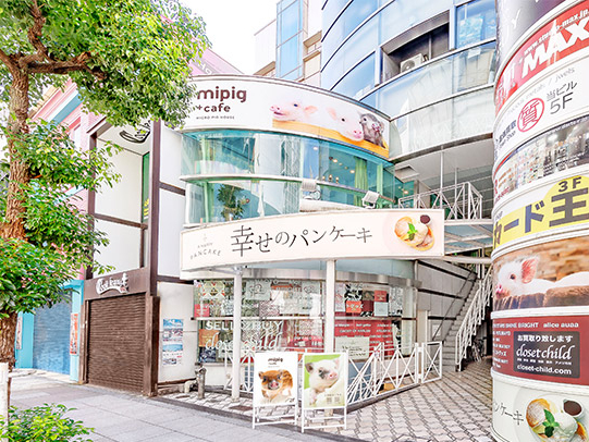 mipig cafe ���X�̎ʐ^3