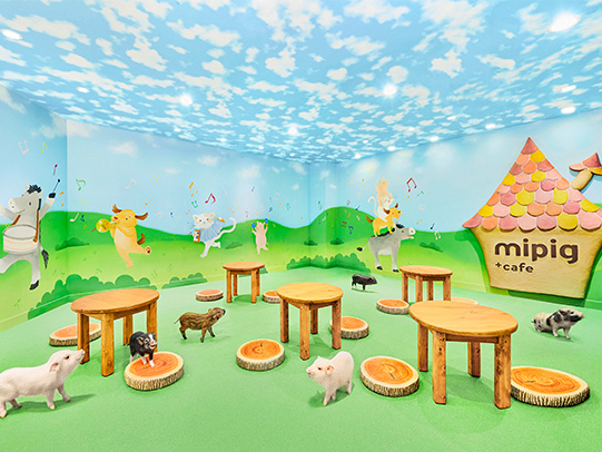 【イオンレイクタウン】マイクロブタと過ごす癒やしのひととき♪55分プラン《ファミ...