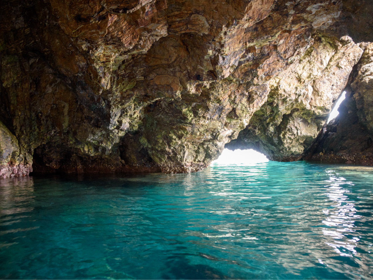 ̂ސB܂ŕʐEɖ񂾂悤ȑ̌B