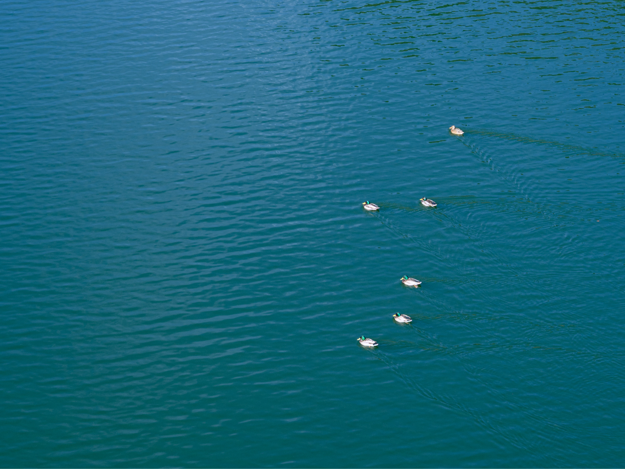 H~̌΂ɂ́A̐Hx߂ɖK܂BÂȐʂ𒭂߂ȂAG߂Ȃł͂̉₩ȎԂy݂B