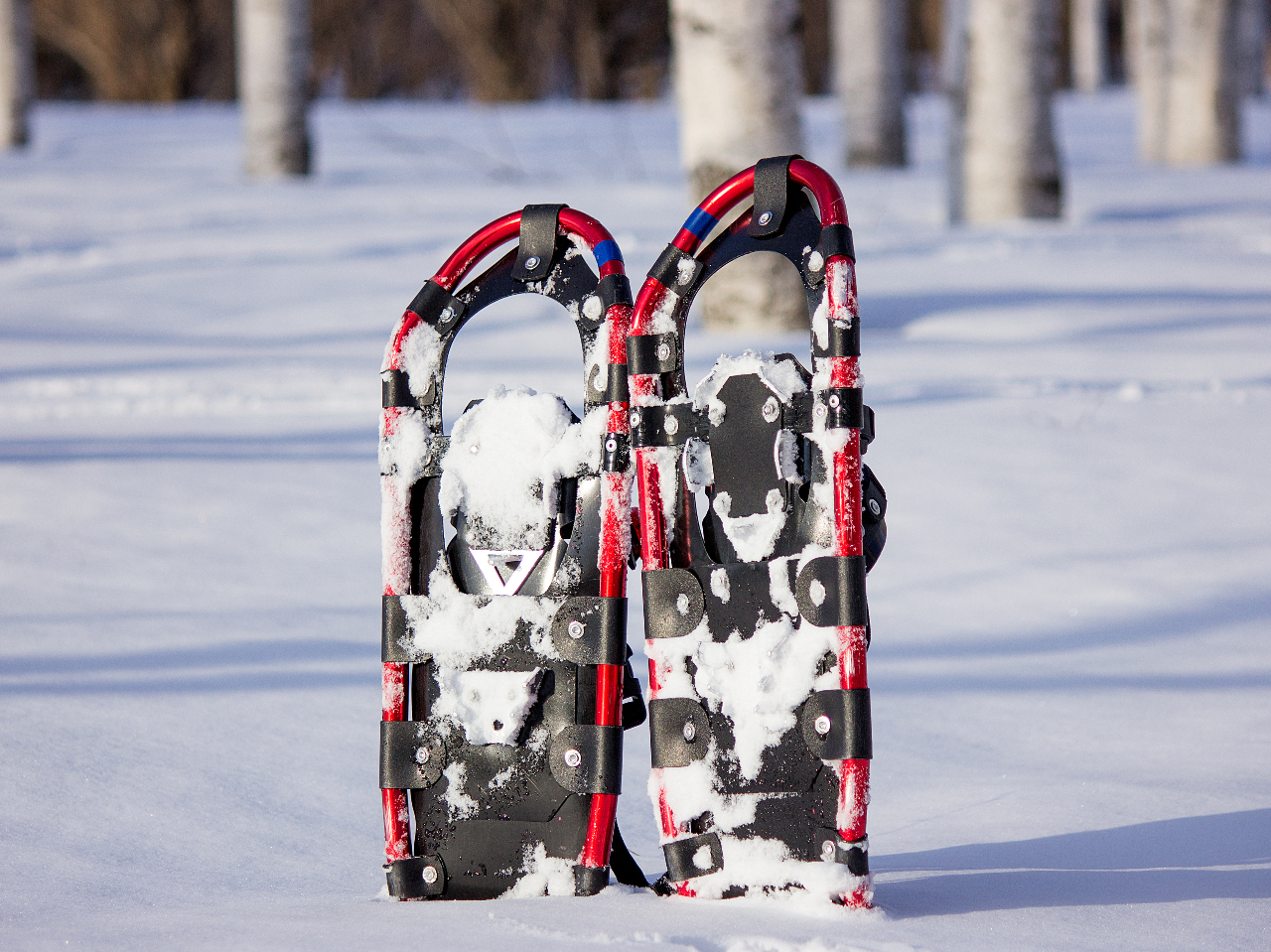 【若狭・熊川】冬の湖畔でスノーシュー体験《カップラーメン付き・手ぶらOK》