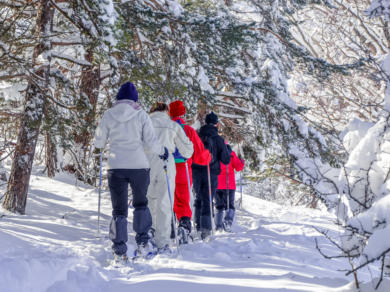 ��̐X��������Ԃ́A�܂�Ŗ`���̂悤�B���R���߂��Ɋ�������ʂȑ̌����B���ʐ^�̓C���[�W�ł��B