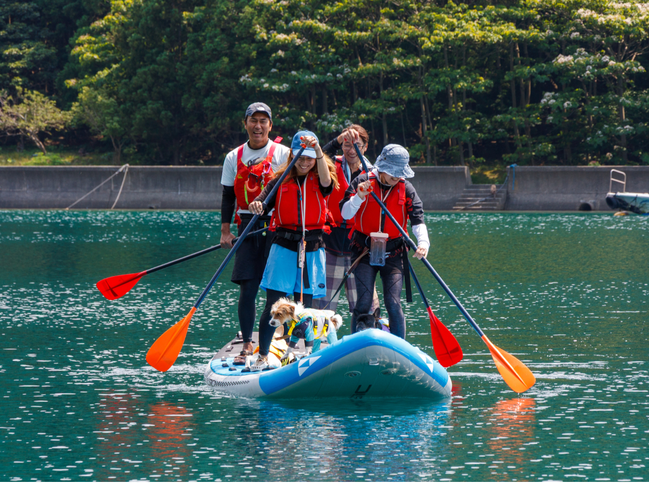 【若狭・常神半島】ワンちゃんと一緒にメガSUPツアー《大型犬OK・ファミリーにお...