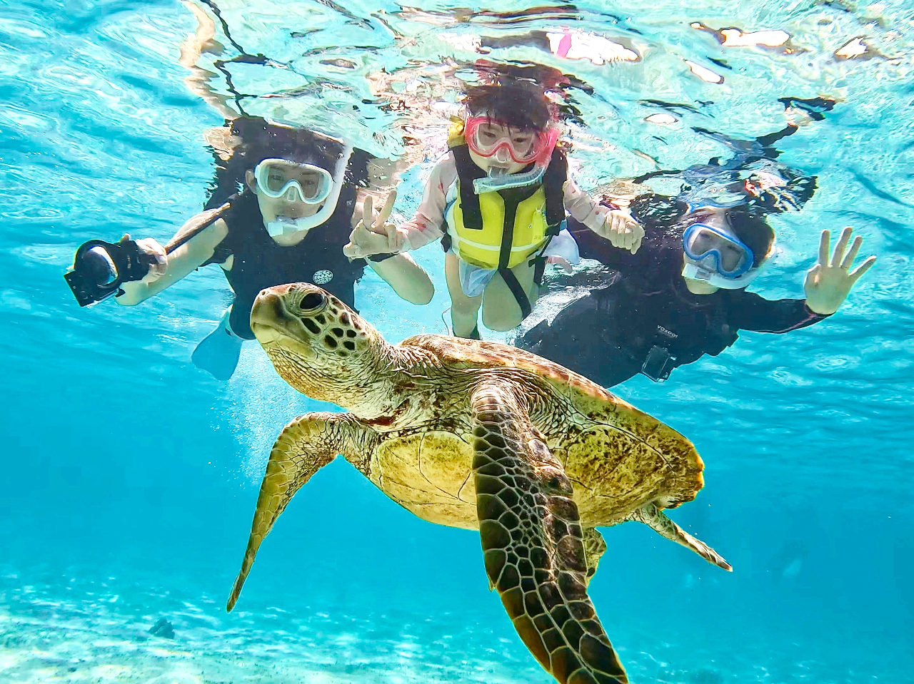 ウミガメさんとこんな近くで ハイ、チーズッ!!