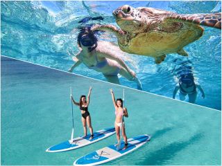 人気NO.1ツアー!大満喫の半日プラン!!