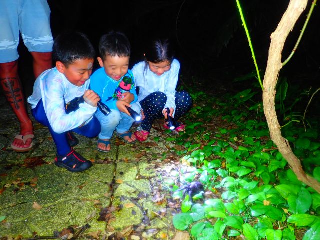 お子様に大人気ツアー!