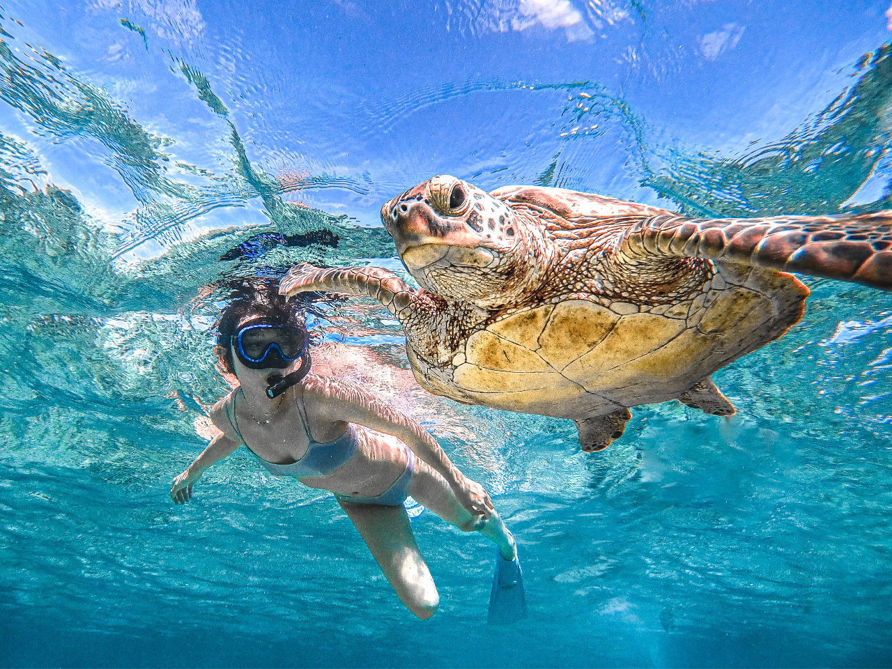 インスタ映え間違いなし!!