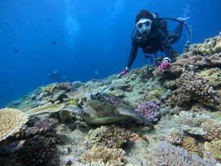 ウミガメとの記念写真も☆彡