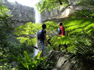 ★☆当店は竹富町観光案内人免許:011取得済です☆★竹富町観光案内人条例により一定の経験、条件、資格を満たすガイドのみ島内ガイドツアー開催可能です。