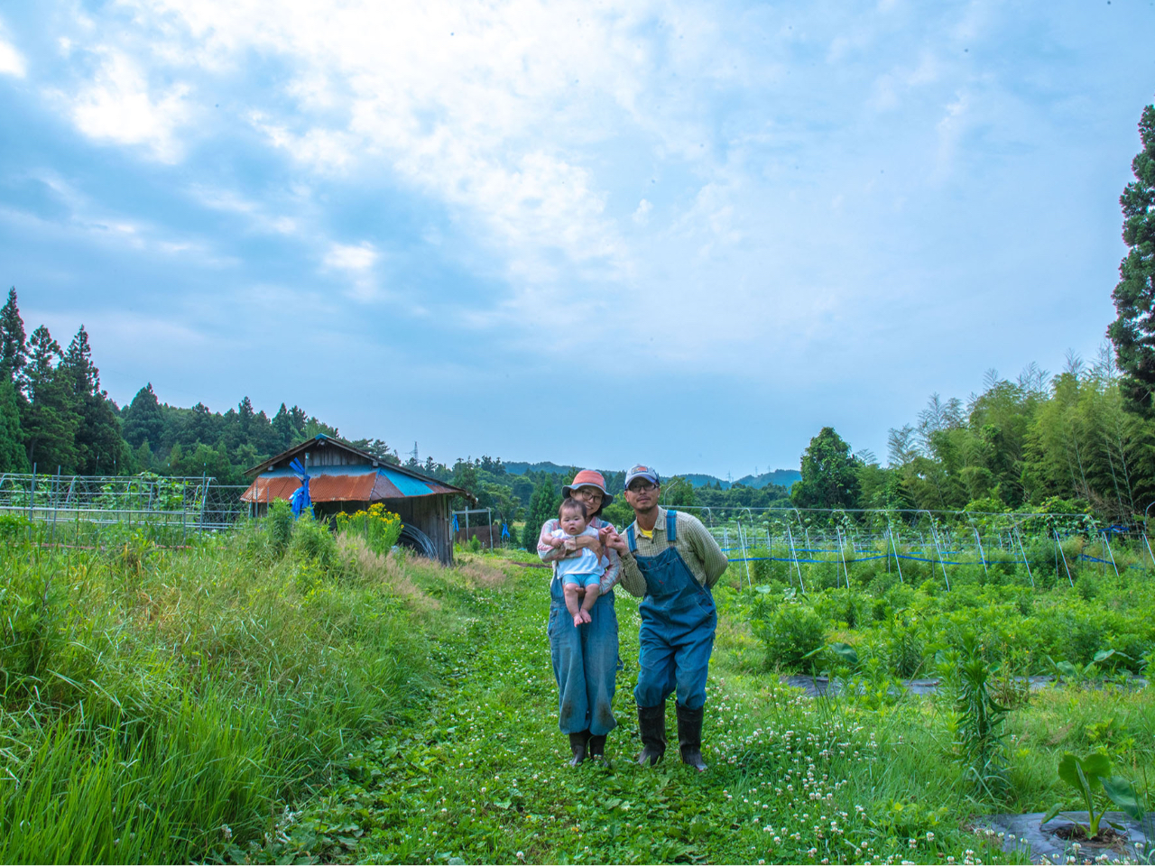 安心安全の無農薬野菜の収穫体験!旬なお野菜から5種類お持ち帰り頂けます♪《お子様...