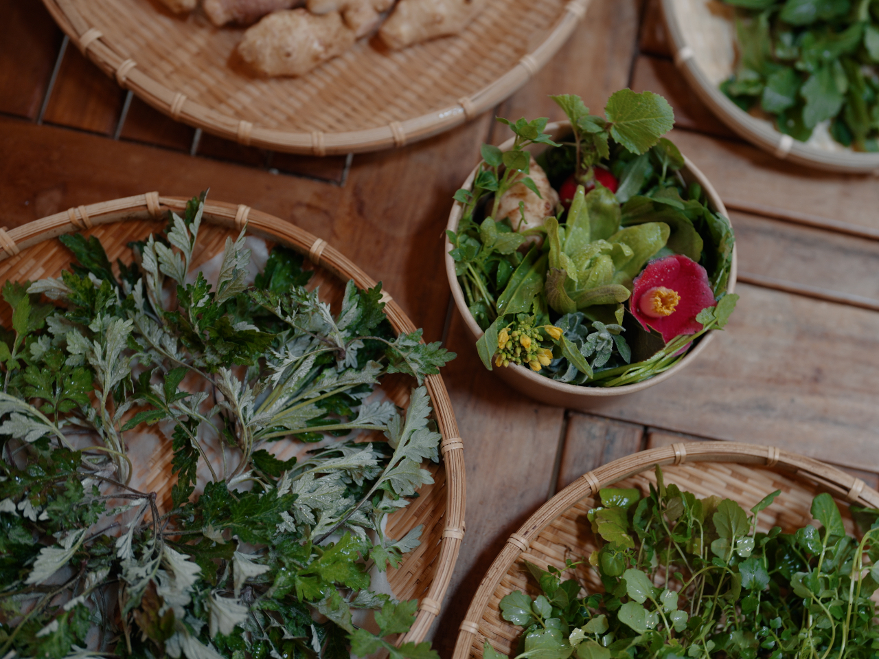 古湯・熊の川温泉郷 森の香 菖蒲ご膳 山菜ツーリズム(ランチ、お土産付)
