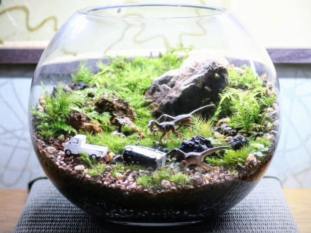 河内長野】＼苔テラリウムワークショップ／三日市町駅から送迎あり