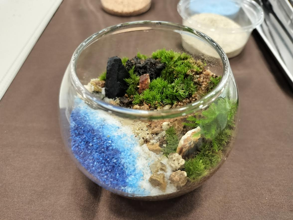 �O���f�[�V���������ĊC�̌i�F��