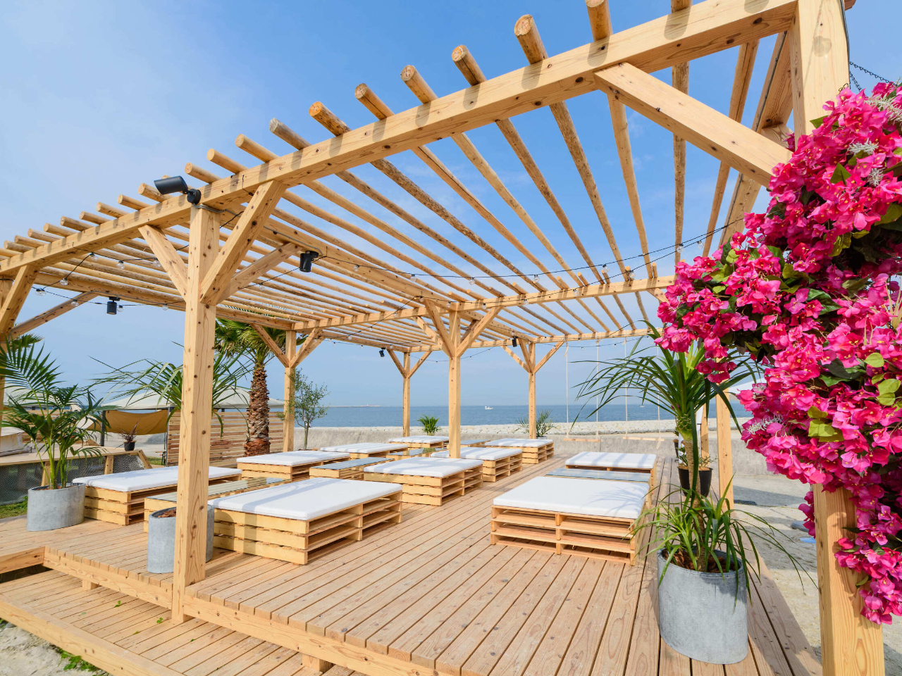 ܂Ńr[`][ĝ悤ȃP[VII