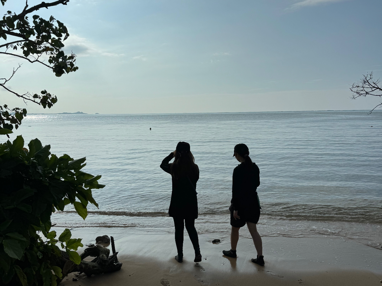 ̂тU[Q҂̊Flʐ^T[rX܂