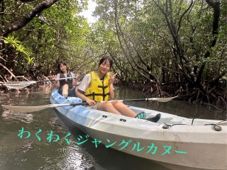 石垣島吹通川観光のマングローブジャングルカヌーとサップ、ボートシュノーケルと案内します!