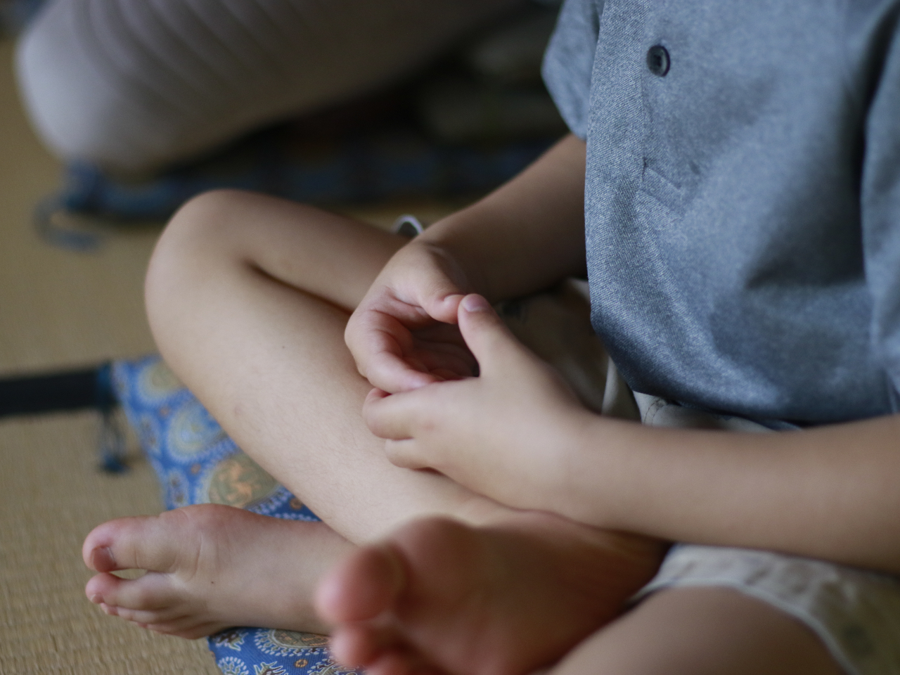 「禅」をテーマにした夏休みの自由研究にもぴったり!