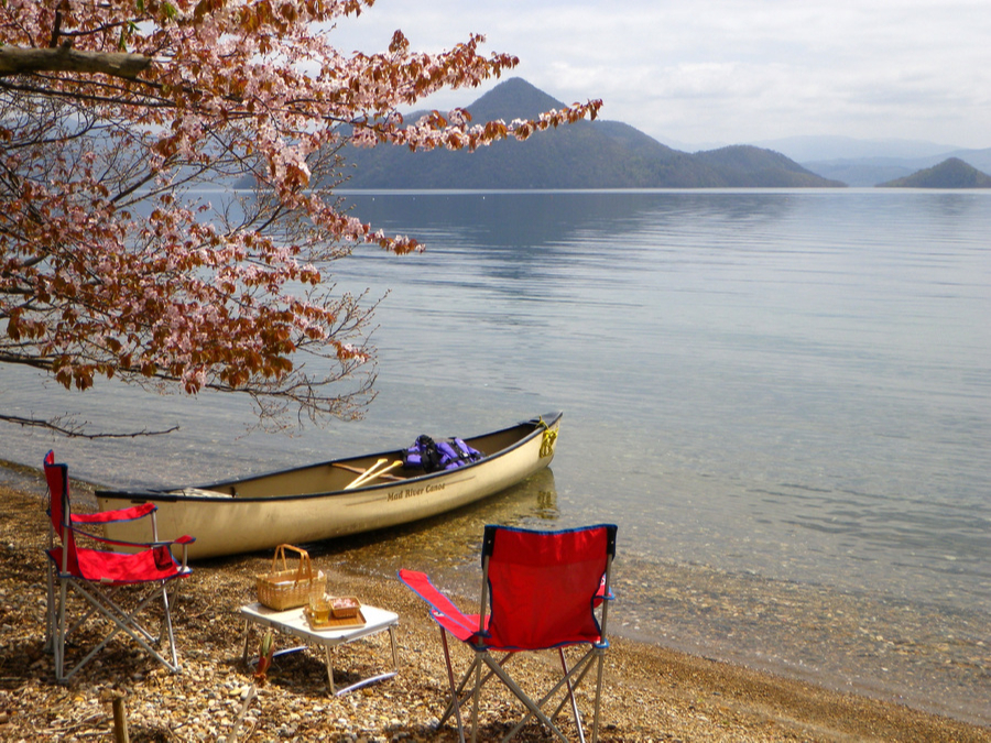 カヌーをしながら桜も堪能できますよ♪