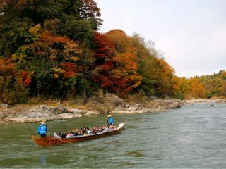 天竜川の紅葉は例年11月中旬が見ごろとなります。