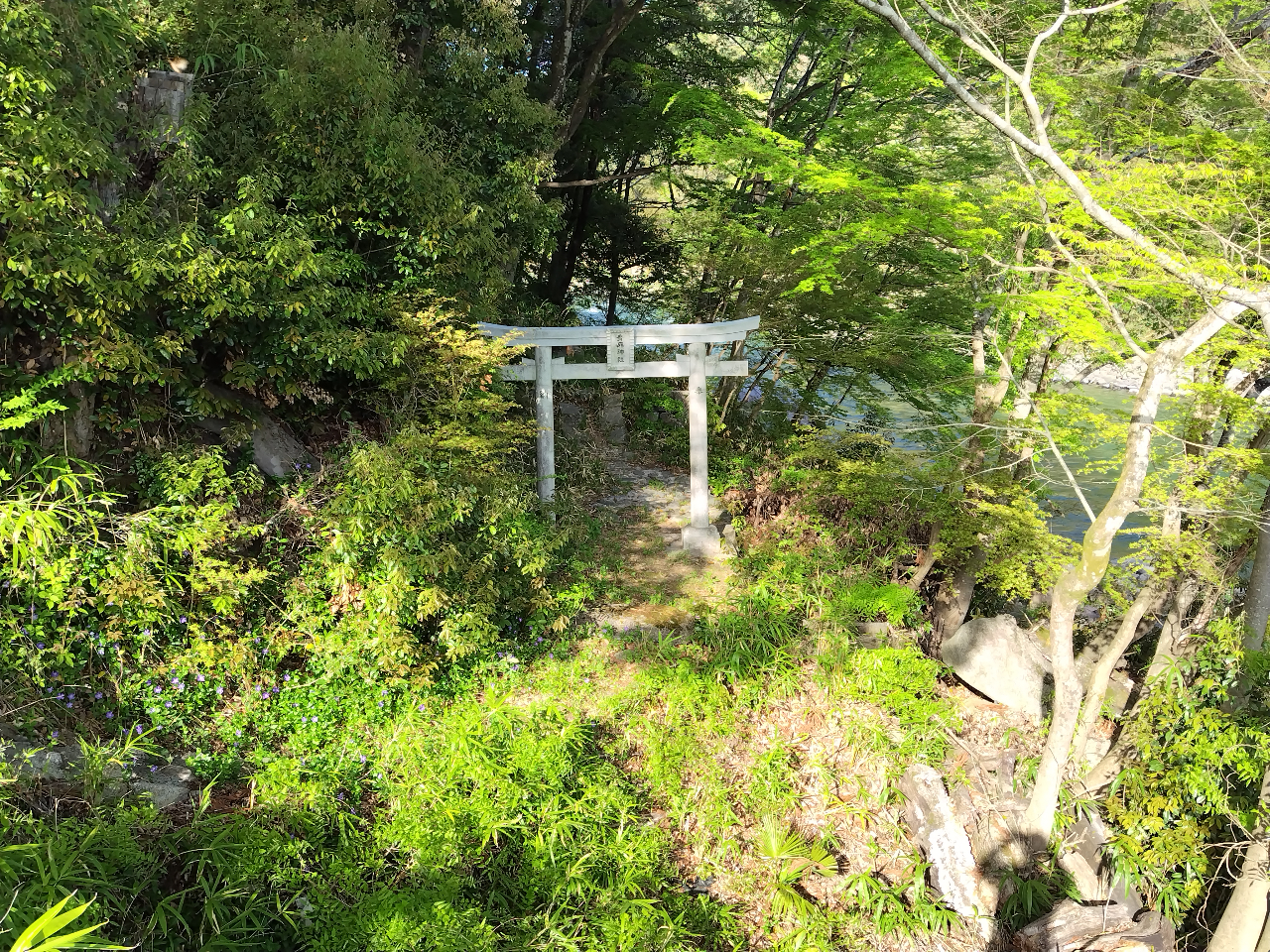 _Ђ͊C^̈Sƒ̐_lł