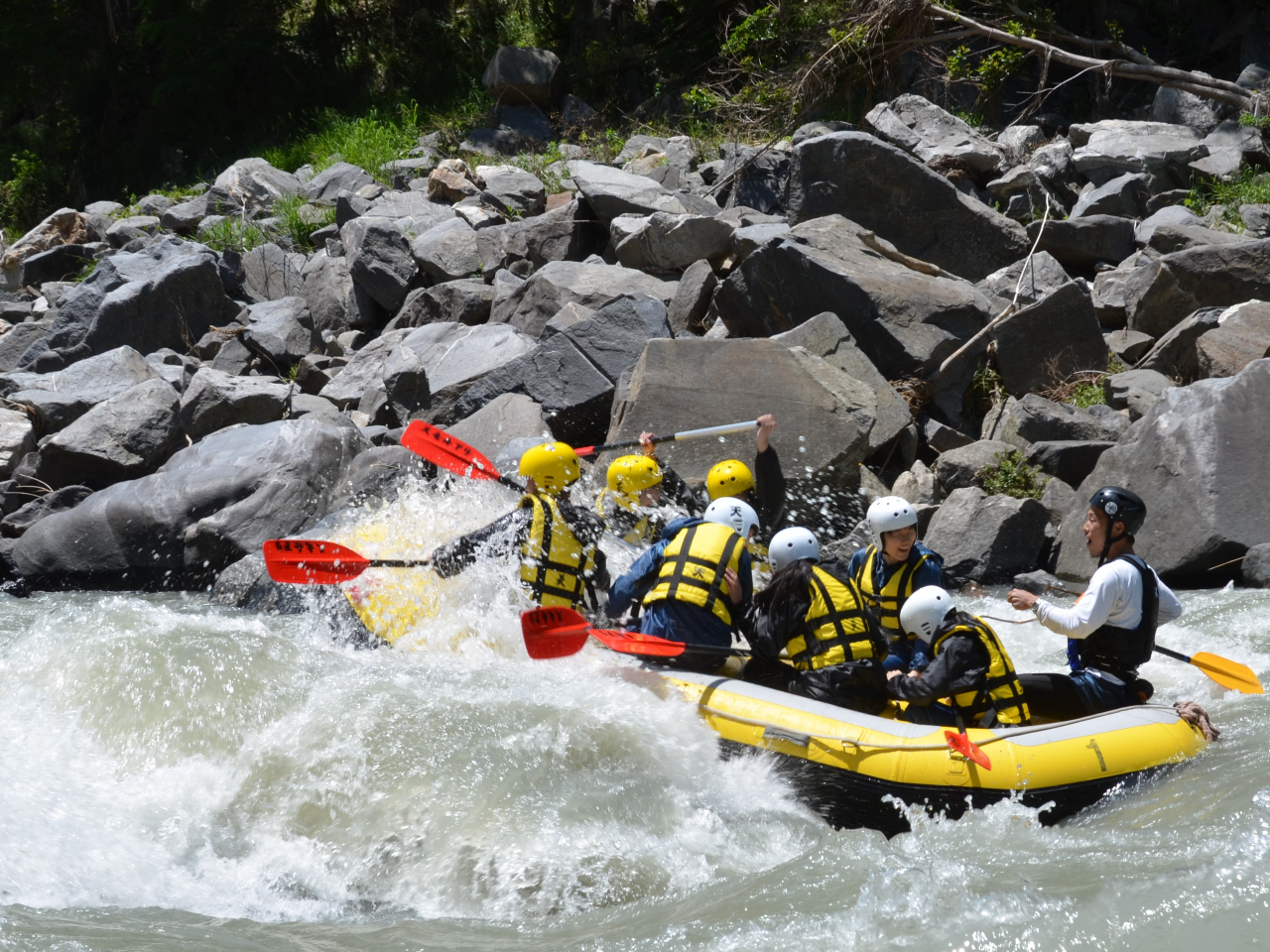 �����A��蒴����