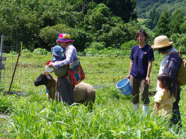 ���R������� ��܂�����̎ʐ^2