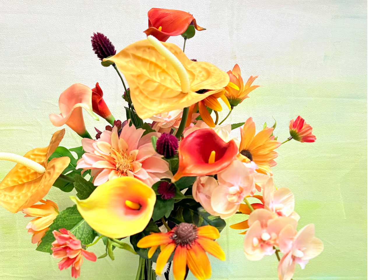 �A�[�e�B�t�B�V�����t�����[�u�[�P(�؍���)