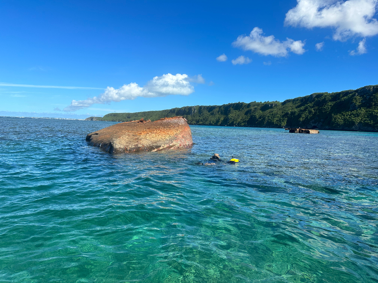 ^C~Oǂ΍ʑD܂Ōɍs܂I