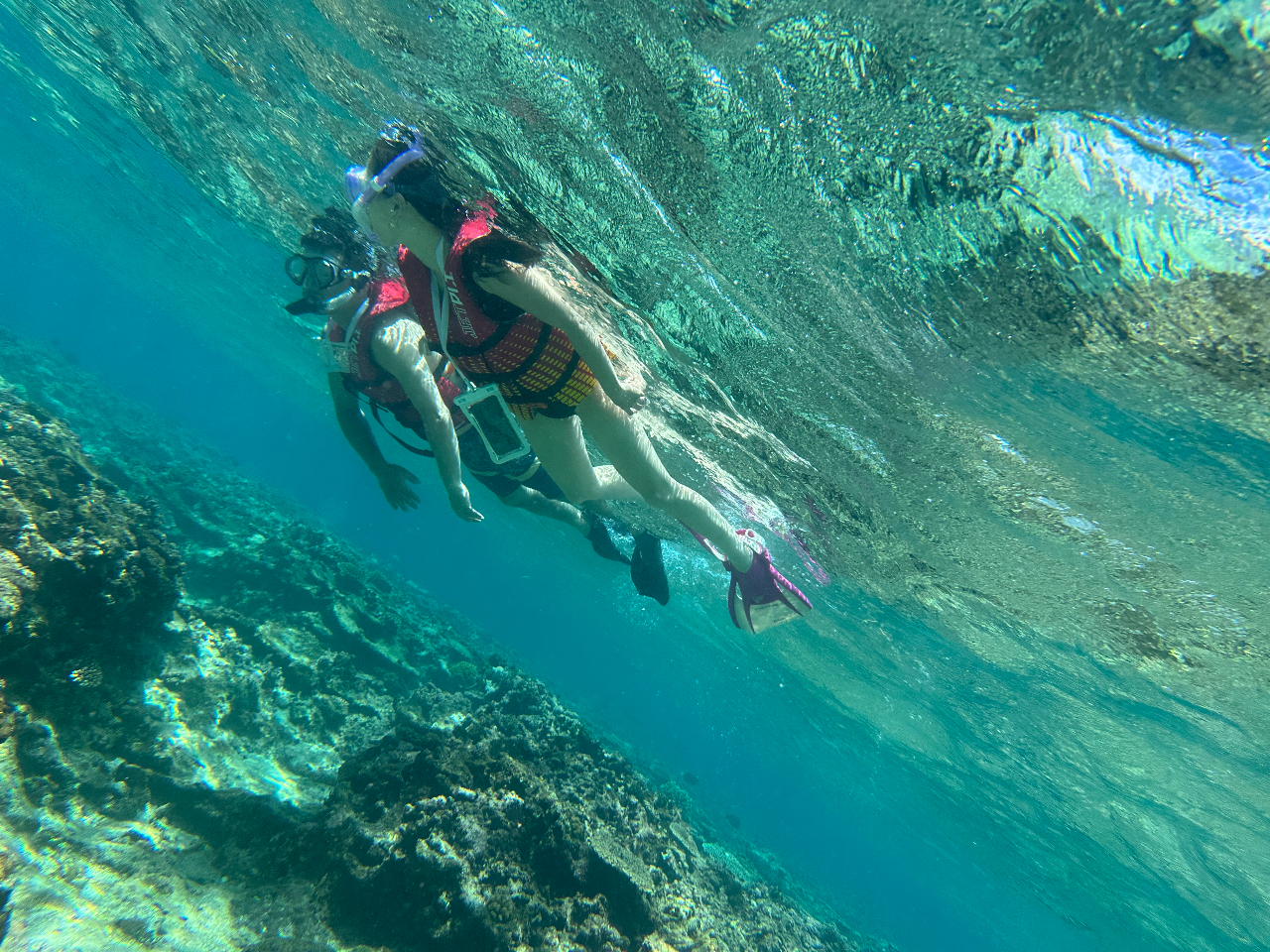 B肵ʐ^ׂ͂Ėōグ܂I