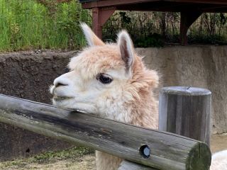 ファミリーはもちろん大人の方だけのご参加も大歓迎です。